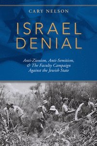 bokomslag Israel Denial