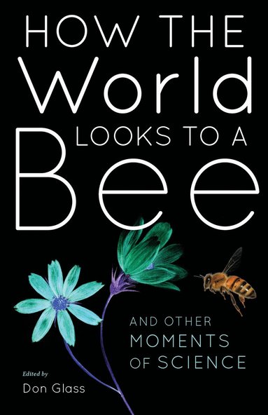 Don Glass - How the World Looks to a Bee, Inbunden