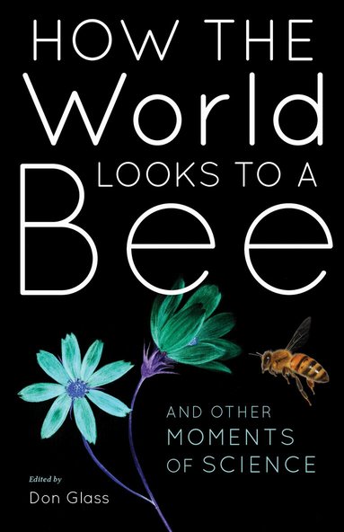 Don Glass - How the World Looks to a Bee, Häftad