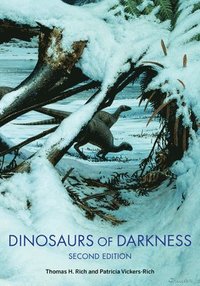 bokomslag Dinosaurs of Darkness