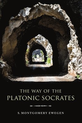 bokomslag The Way of the Platonic Socrates