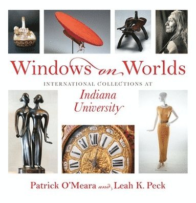 bokomslag Windows on Worlds