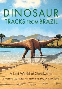 bokomslag Dinosaur Tracks from Brazil