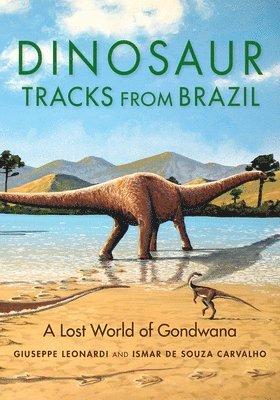 Dinosaur Tracks from Brazil 1