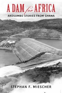 bokomslag A Dam for Africa
