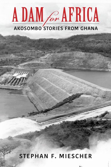 Stephan F. Miescher - Dam for Africa, Häftad