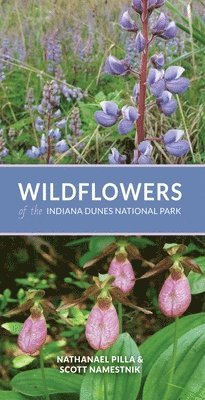 bokomslag Wildflowers of the Indiana Dunes National Park