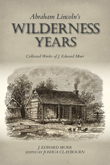 bokomslag Abraham Lincoln's Wilderness Years