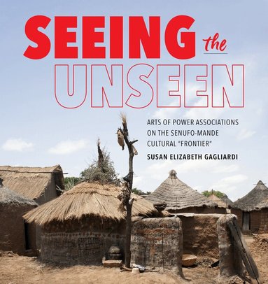 Susan Elizabeth Gagliardi - Seeing the Unseen, Inbunden