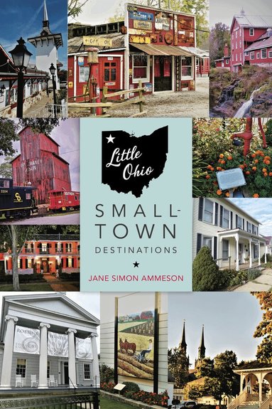 Jane Simon Ammeson - Little Ohio, Häftad