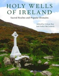bokomslag Holy Wells of Ireland