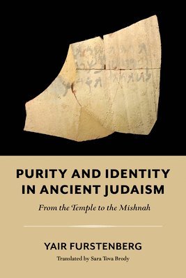 Purity and Identity in Ancient Judaism  From the Temple to the Mishnah 1