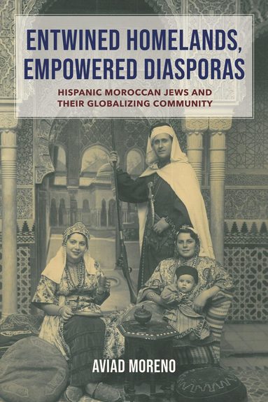 bokomslag Entwined Homelands, Empowered Diasporas