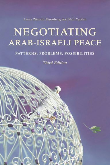 bokomslag Negotiating Arab-Israeli Peace