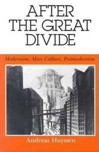 bokomslag After the Great Divide: Modernism, Mass Culture, Postmodernism