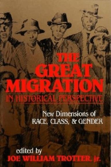 Joe William Trotter - Great Migration in Historical Perspective, Häftad