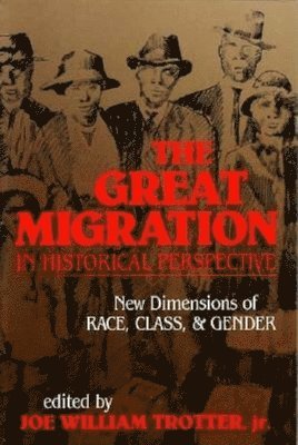 bokomslag The Great Migration in Historical Perspective