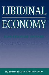 bokomslag Libidinal Economy
