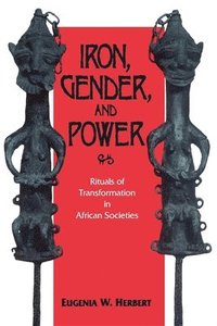bokomslag Iron, Gender, and Power