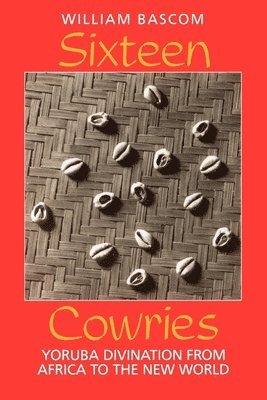 Sixteen Cowries 1