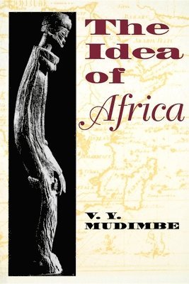 bokomslag Idea of Africa