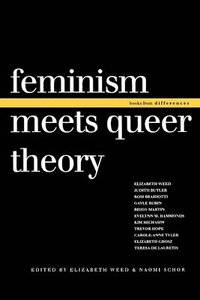 bokomslag Feminism Meets Queer Theory