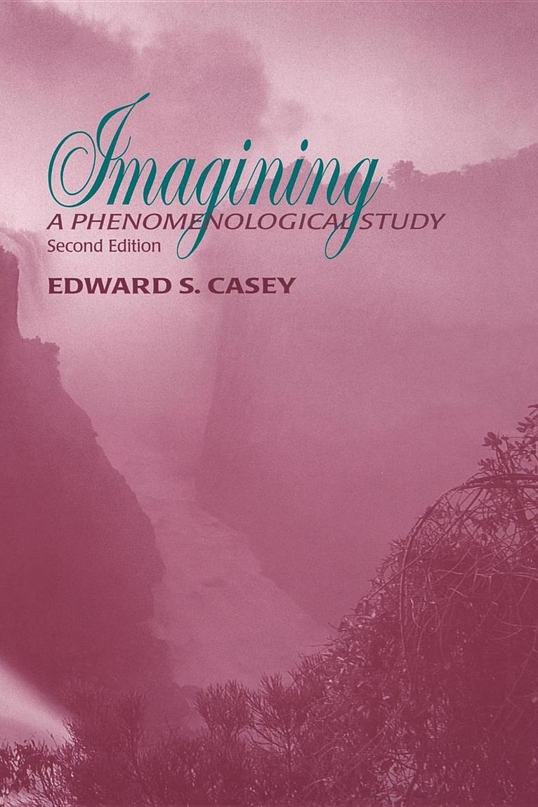 Imagining, Second Edition