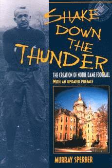 bokomslag Shake Down the Thunder