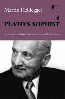 bokomslag Plato's Sophist