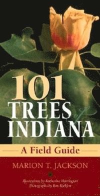 bokomslag 101 Trees of Indiana