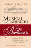 bokomslag Musical Meaning in Beethoven