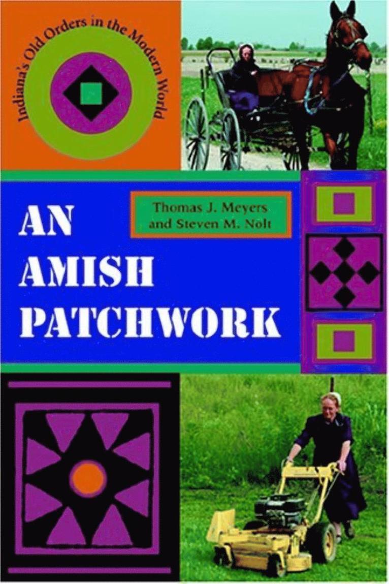 Thomas J. Meyers, Steven M. Nolt - Amish Patchwork, Häftad