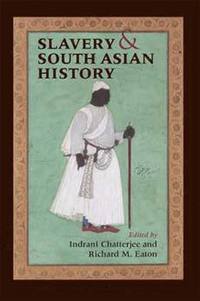 bokomslag Slavery and South Asian History