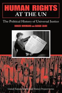bokomslag Human Rights at the UN