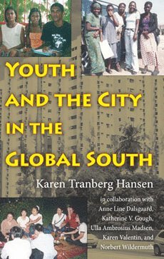 bokomslag Youth and the City in the Global South