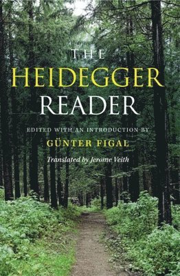 Günter Figal, Gunter Figal - Heidegger Reader, Häftad