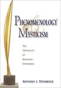 bokomslag Phenomenology and Mysticism