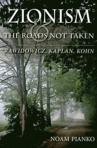 bokomslag Zionism and the Roads Not Taken