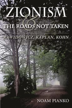 bokomslag Zionism and the Roads Not Taken