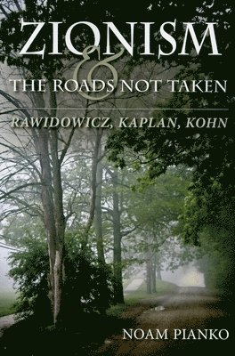 Zionism and the Roads Not Taken 1