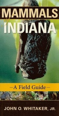 bokomslag Mammals of Indiana