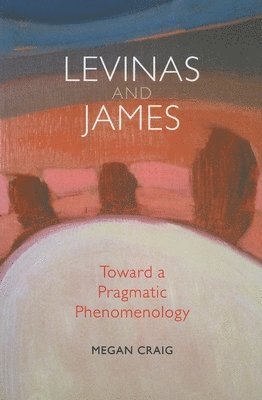 bokomslag Levinas and James