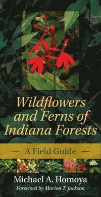 bokomslag Wildflowers and Ferns of Indiana Forests: A Field Guide