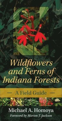 bokomslag Wildflowers and Ferns of Indiana Forests