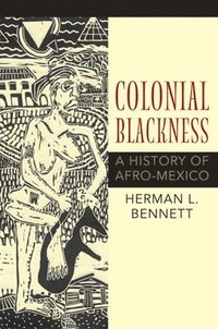 bokomslag Colonial Blackness