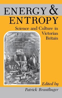 Energy and Entropy 1