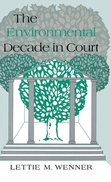 bokomslag Environmental Decade in Court