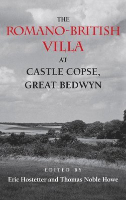 Eric Robert Hostetter, Thomas Noble Howe, Eric Hostetter - Romano-British Villa at Castle Copse, Great Bedwyn, Inbunden