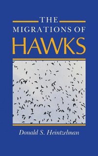 bokomslag The Migrations of Hawks