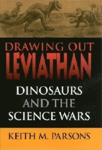 bokomslag Drawing Out Leviathan